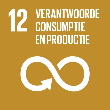 SDG 12 Verantwoorde consumptie en productie