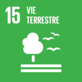 F SDG goals icons individual rgb 15