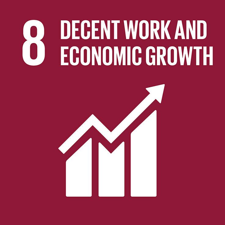SDG 8 ensures the safety and health of society and employees